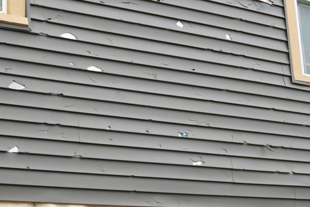 Trusted Fort Mohave, AZ Siding Experts